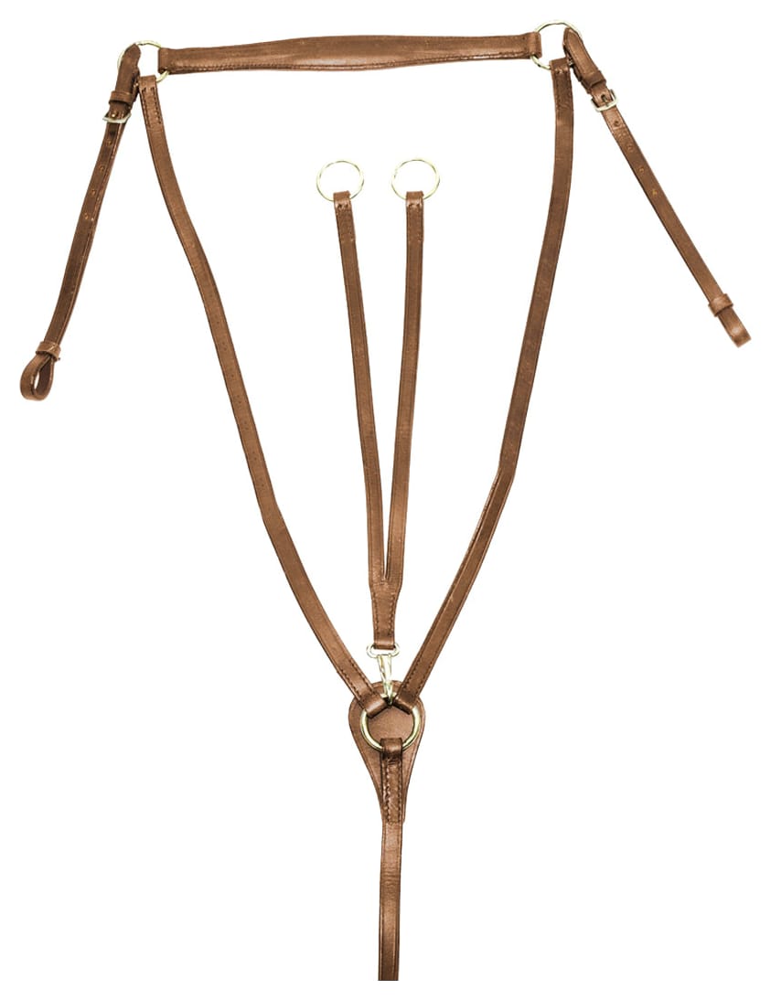 Martingala da caccia