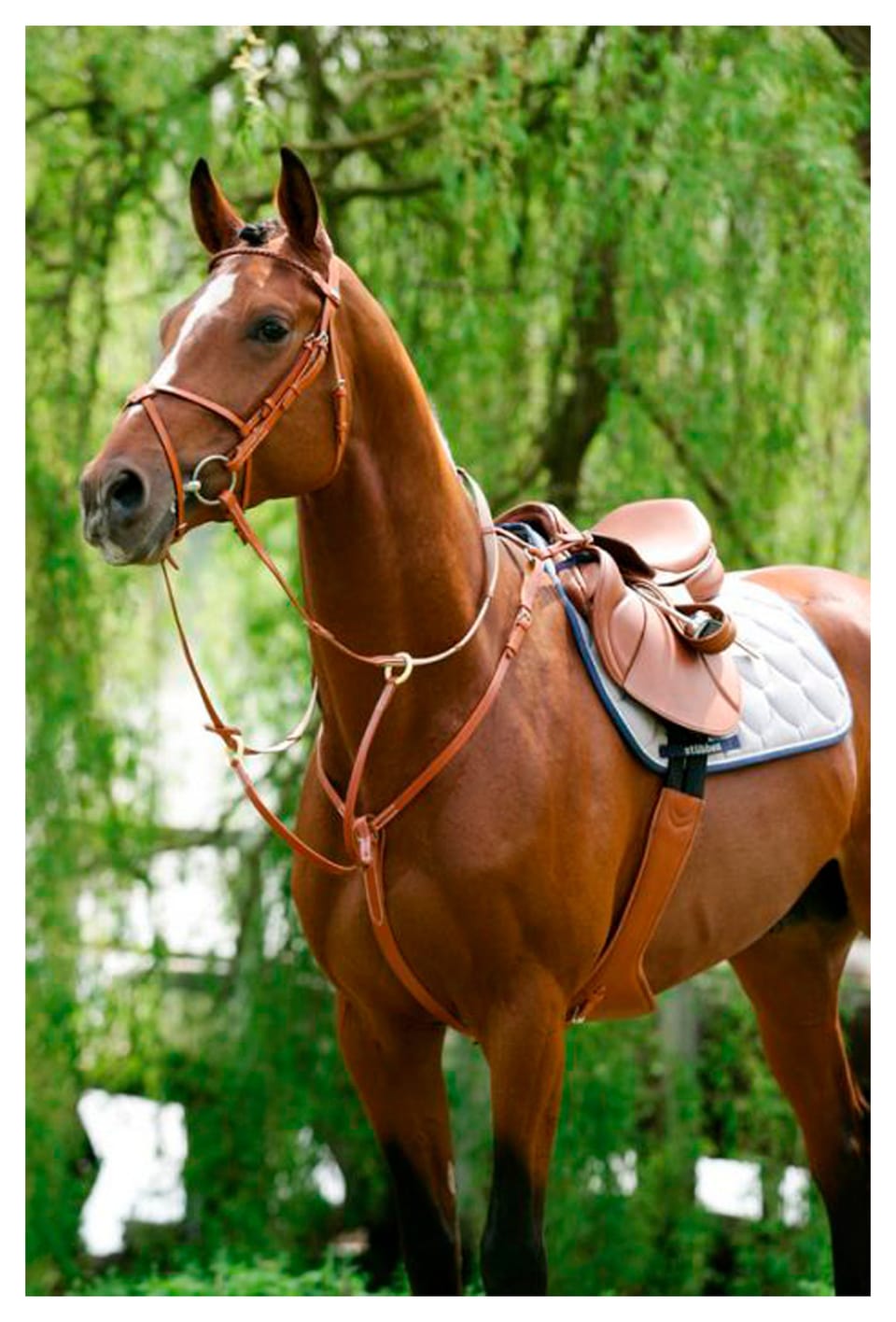 Breastplate with running Attachment