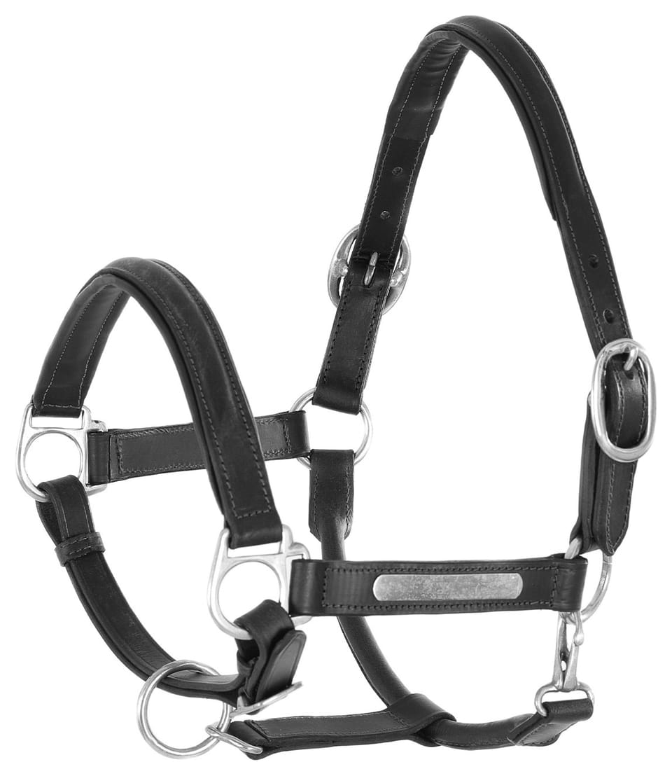 Cavezza cuoio doppiato fibbie ottone