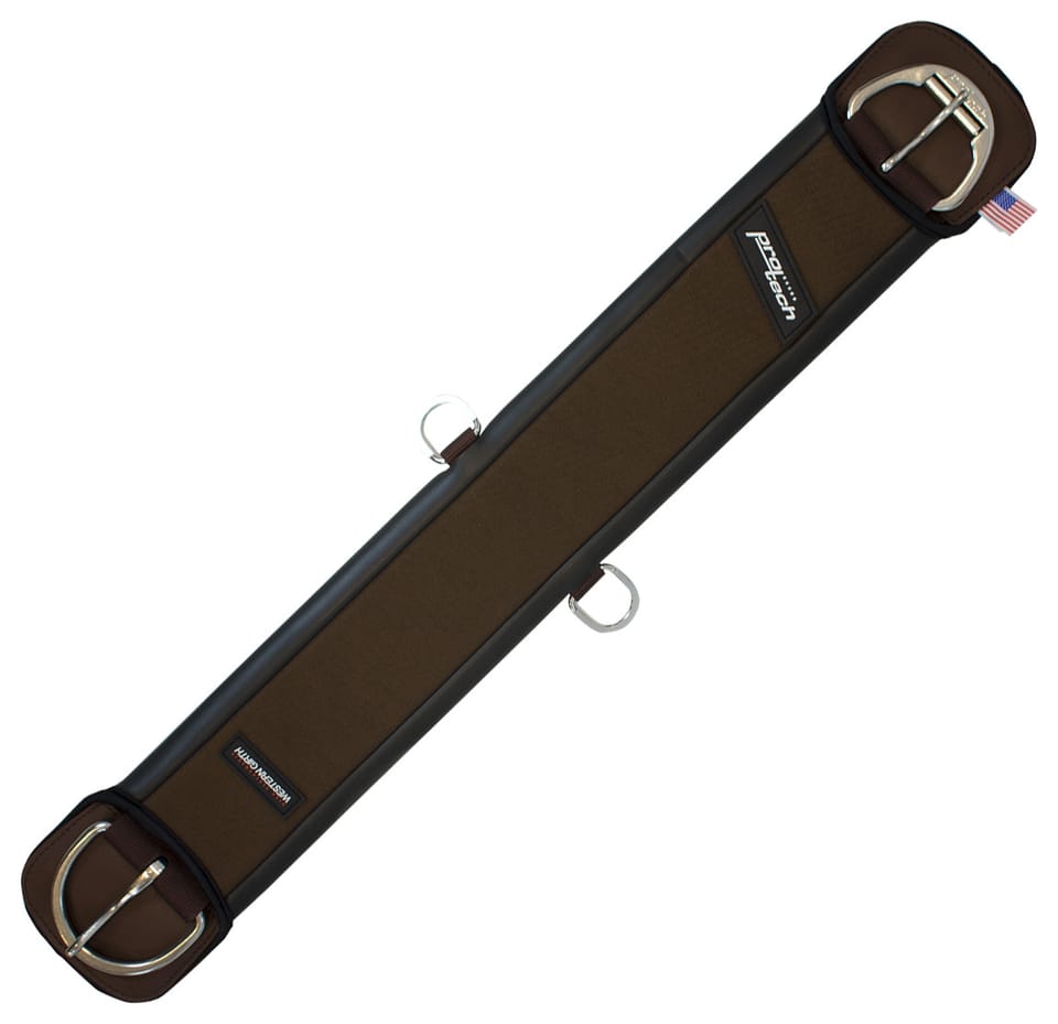 Sottopancia Cordura/Neoprene fibbia rullo inox