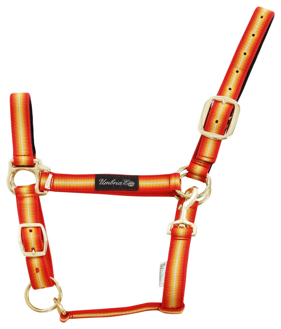 Cavezza in nylon con rinforzo in pelle